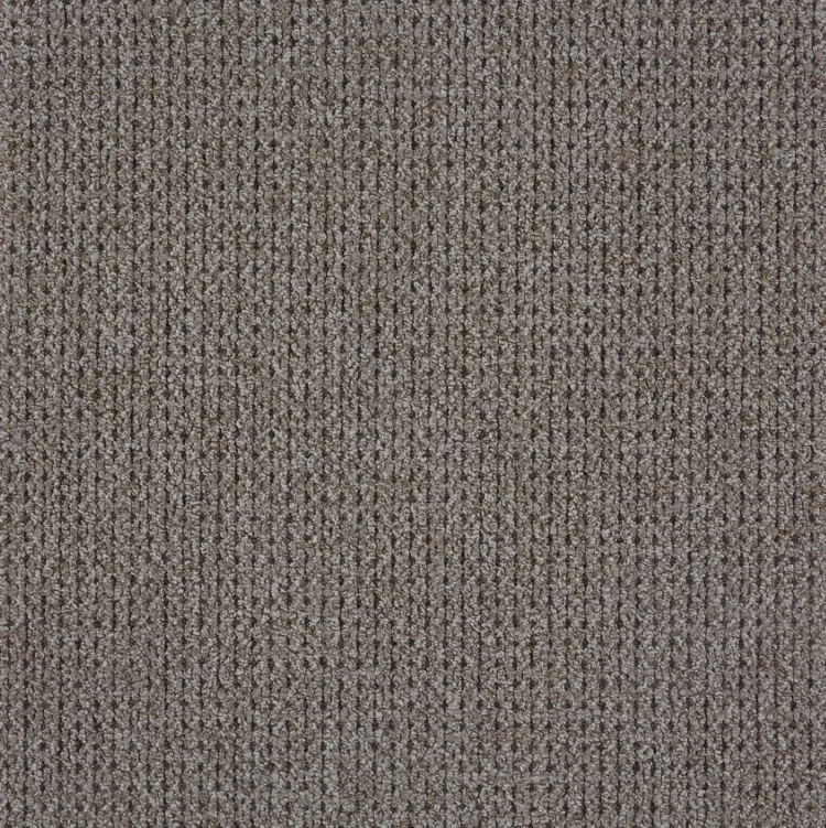 light brown loop pile carpet rug