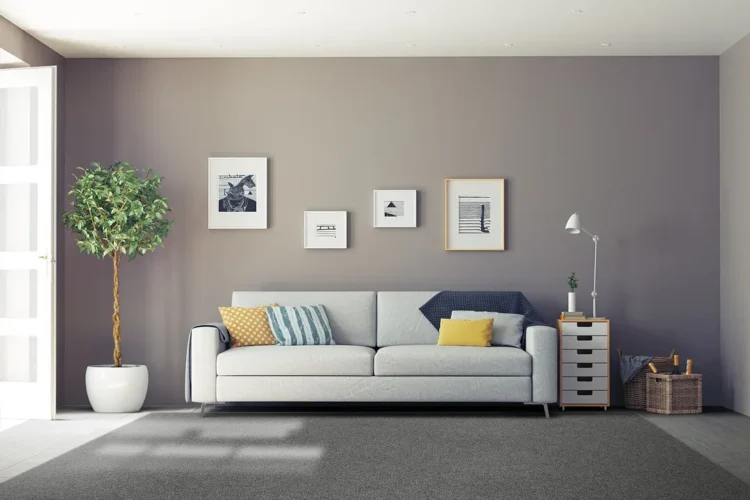 grey custom sized rug in living room lounge with white couch