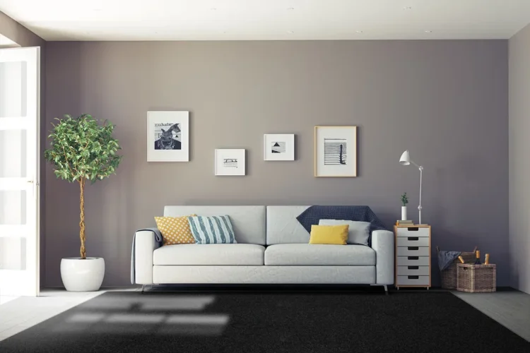 black custom sized rug in living room lounge with white couch