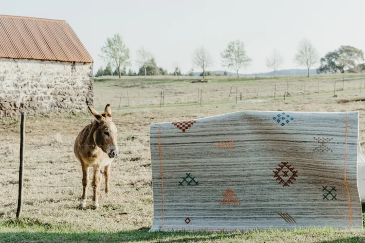 a donkey standing next a hanging mila rug