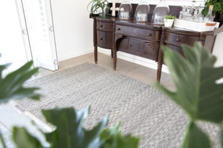 Stone rug with plant in fore ground