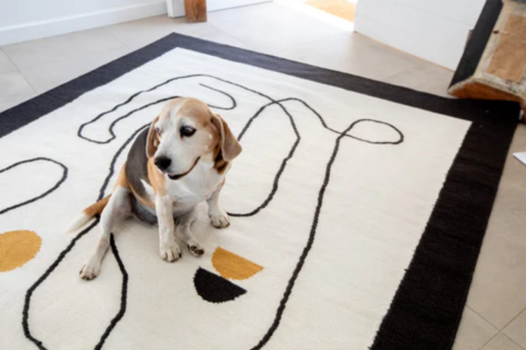 dog sitting on white rug with black lines