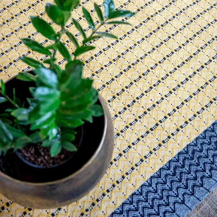 potted plant on rug