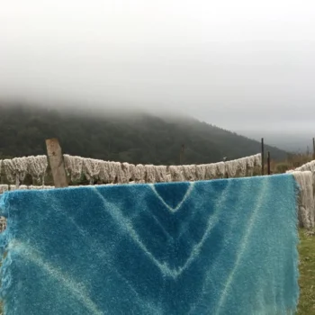 Throw Blankets
