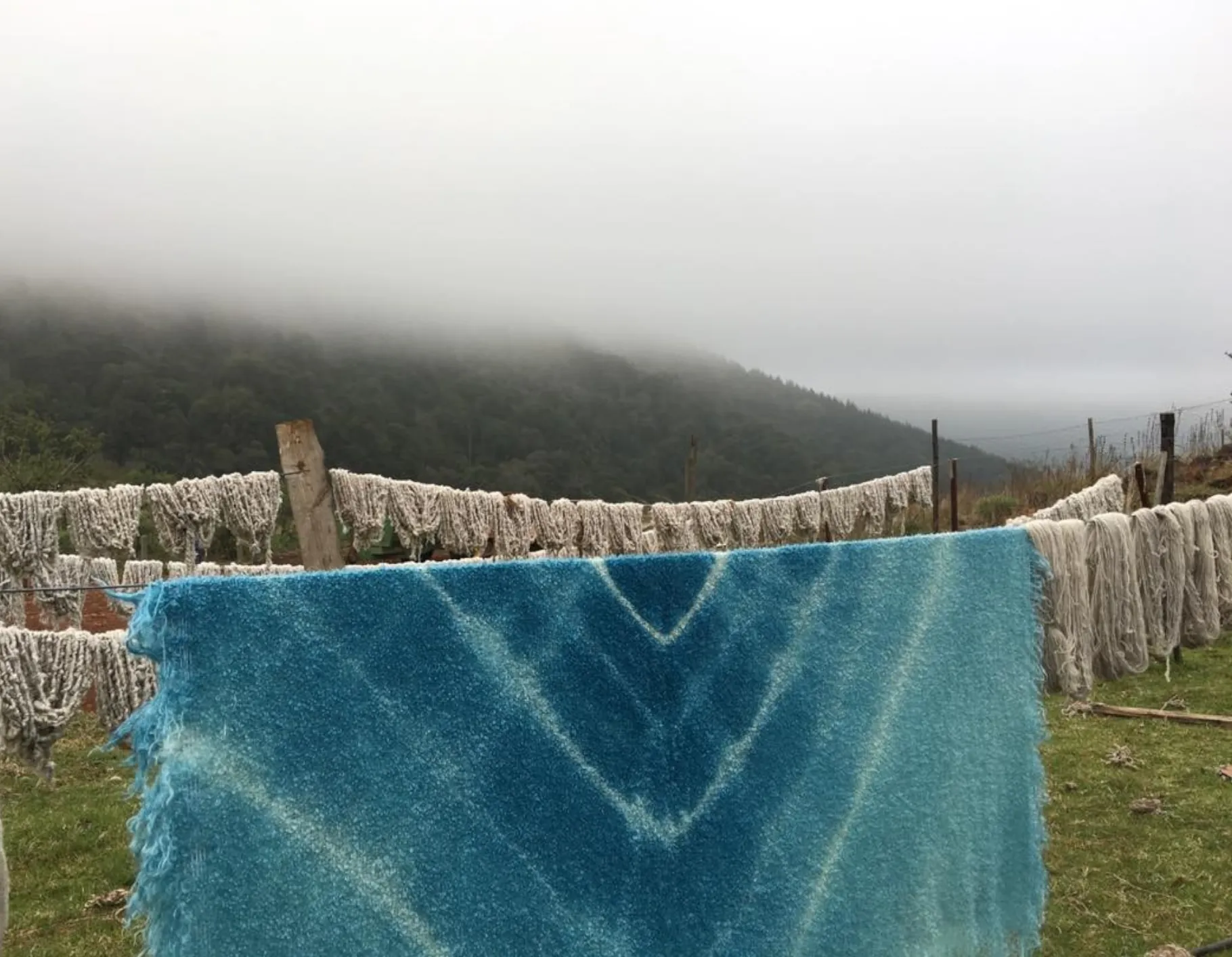 Blue throw blanket 