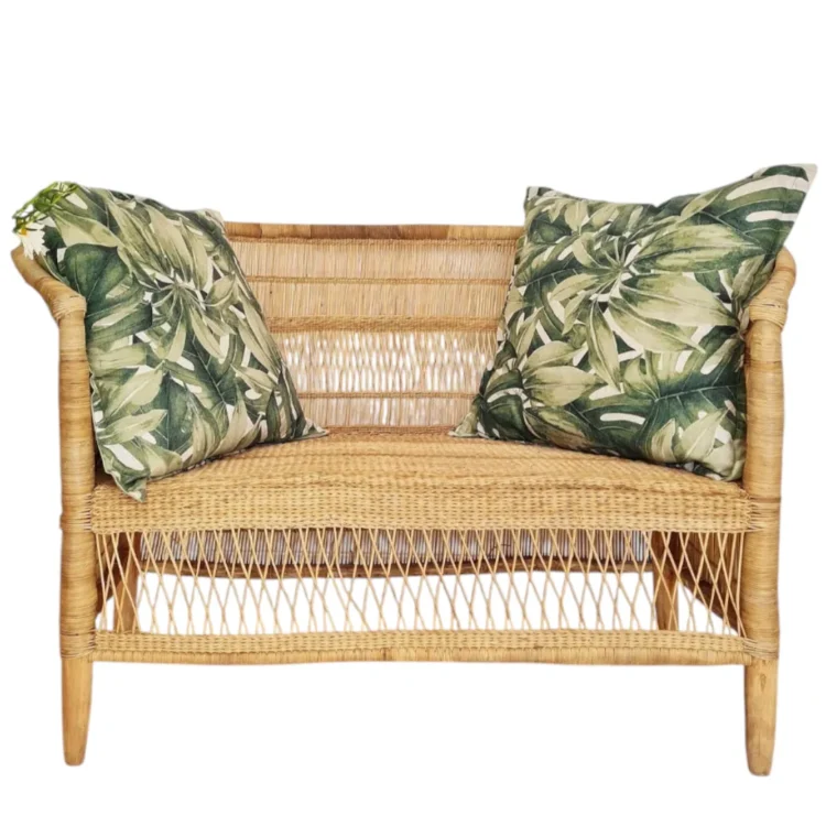 Twin traditional couch with cushions