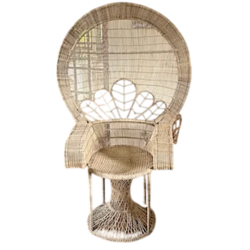 Peacock Wicker Chair