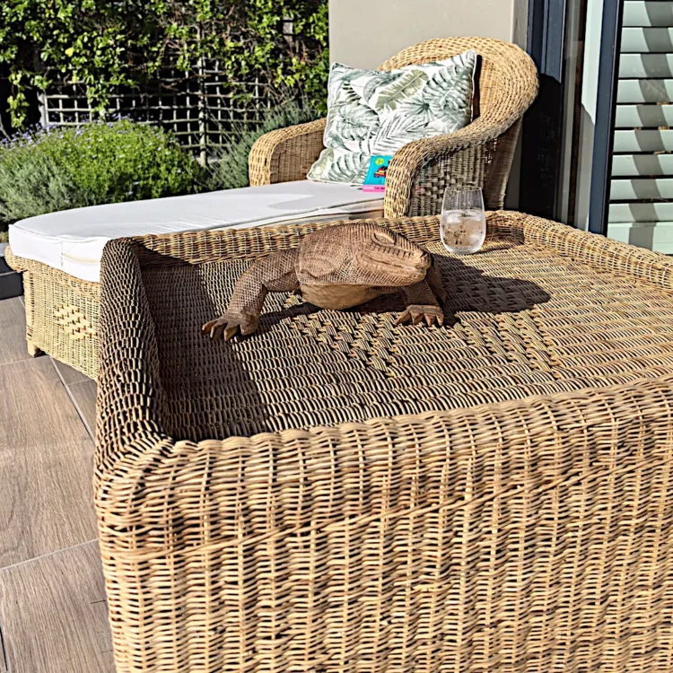 rattan box coffee table with lip